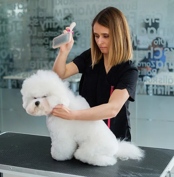 qc-pet-studies